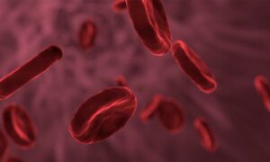 Red blood cells. How to remove blood stains from a variety of surfaces.
