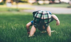 Boy Playing in Grass Getting Grass Stain.