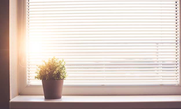 Sunshine Coming Through Clean Window Blinds.